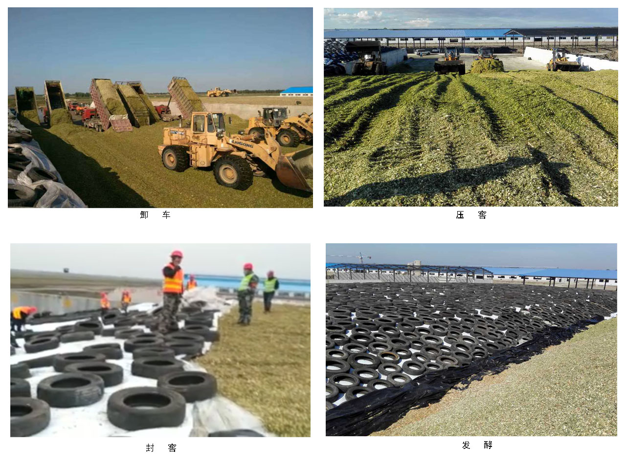 青貯窖儲(chǔ)副本.jpg 青貯窖儲(chǔ)副本.jpg