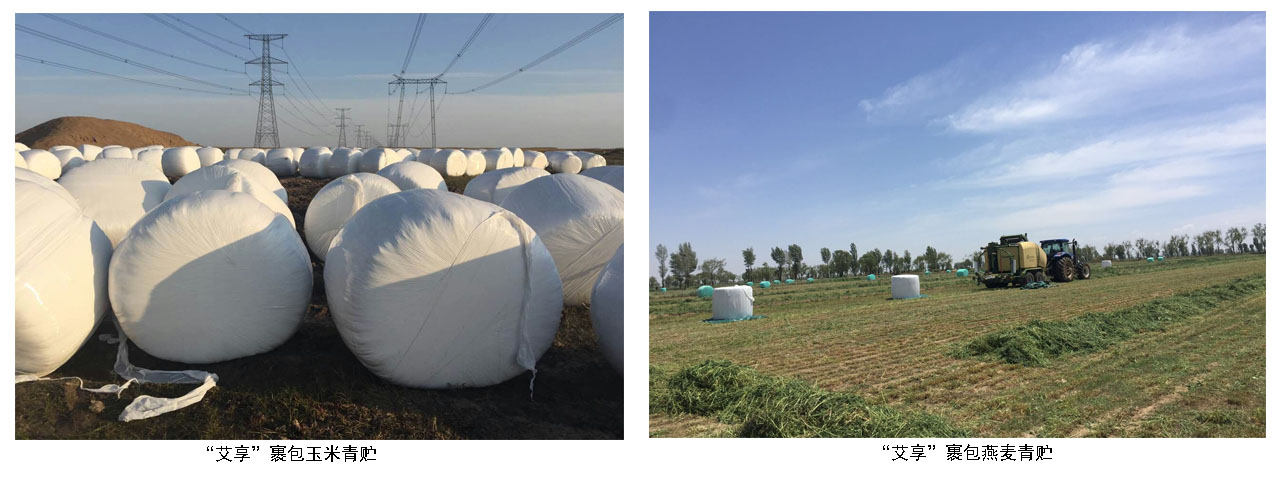 裹包青貯.jpg 裹包青貯.jpg