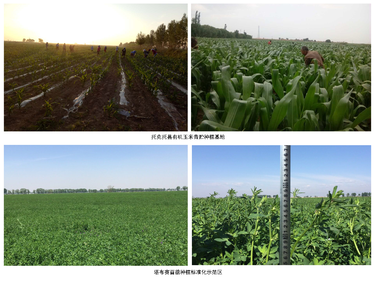 友邦基地.jpg 友邦基地.jpg