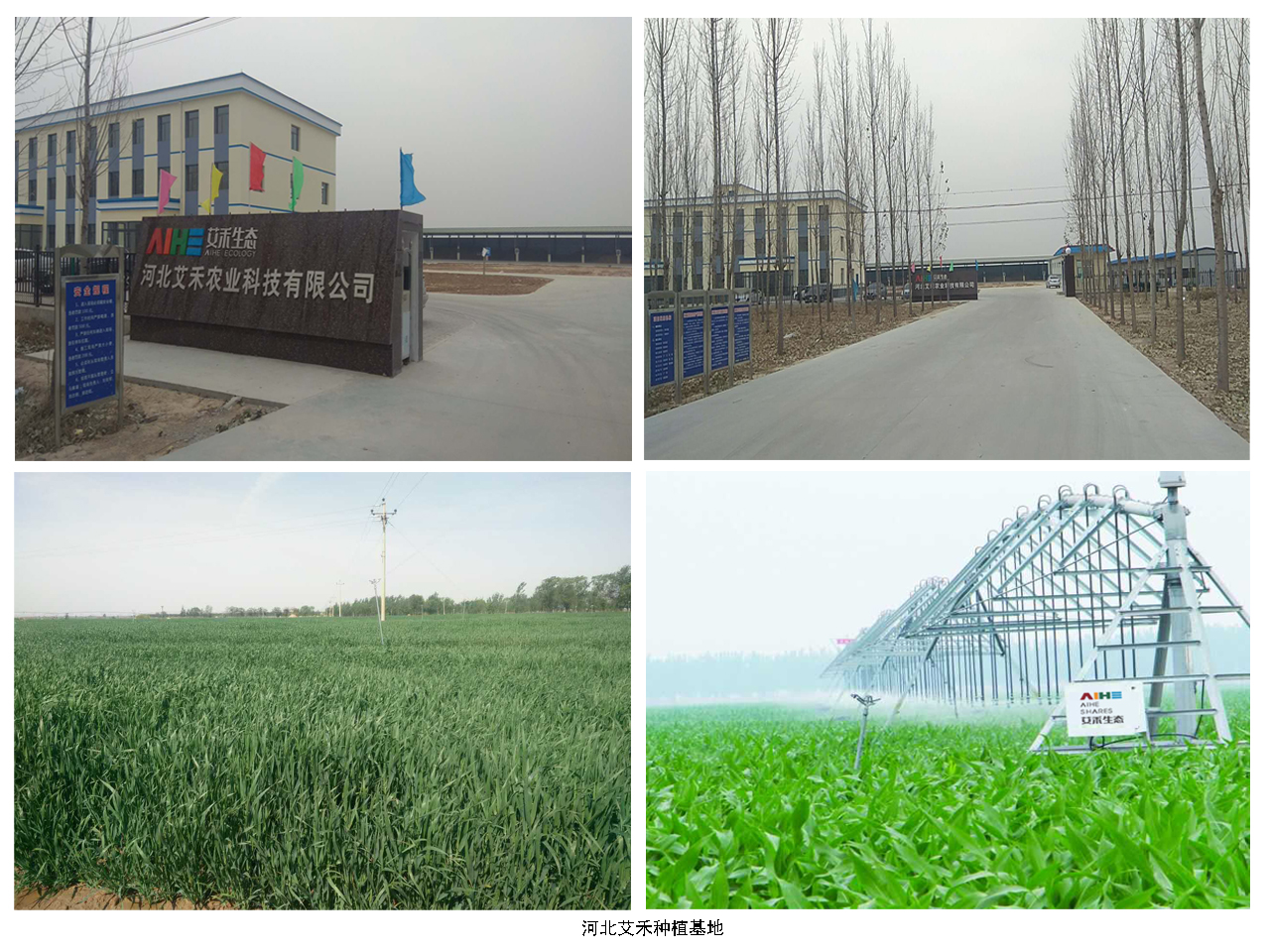 河北艾禾辦公樓.jpg 河北艾禾辦公樓.jpg