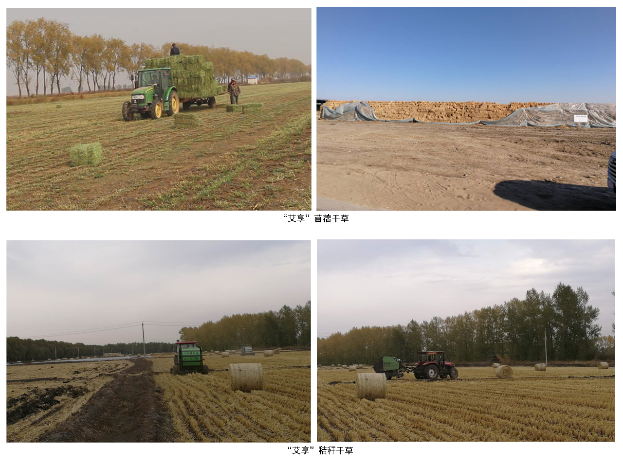 5a47475436b6b.jpg 5a47475436b6b.jpg