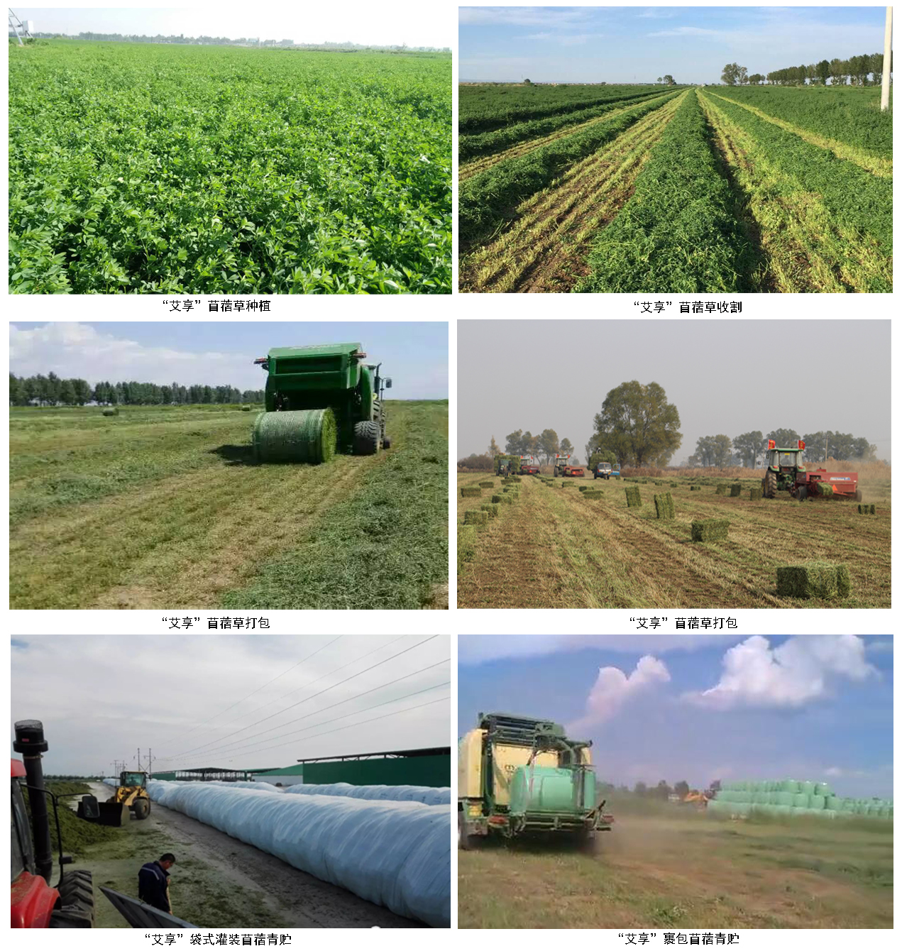 5a47564678f73.jpg 5a47564678f73.jpg