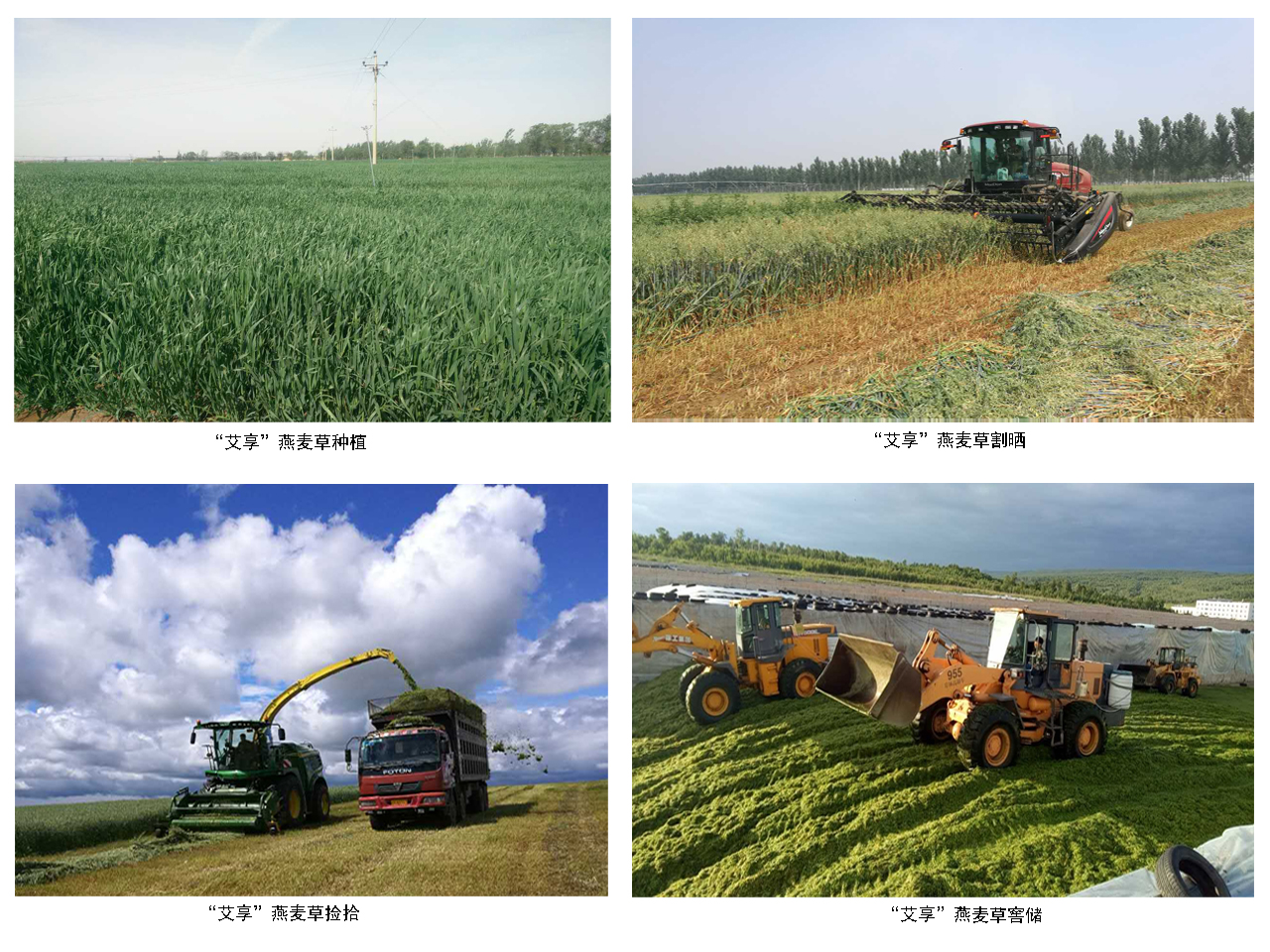 5a4f44d945790.jpg 5a4f44d945790.jpg