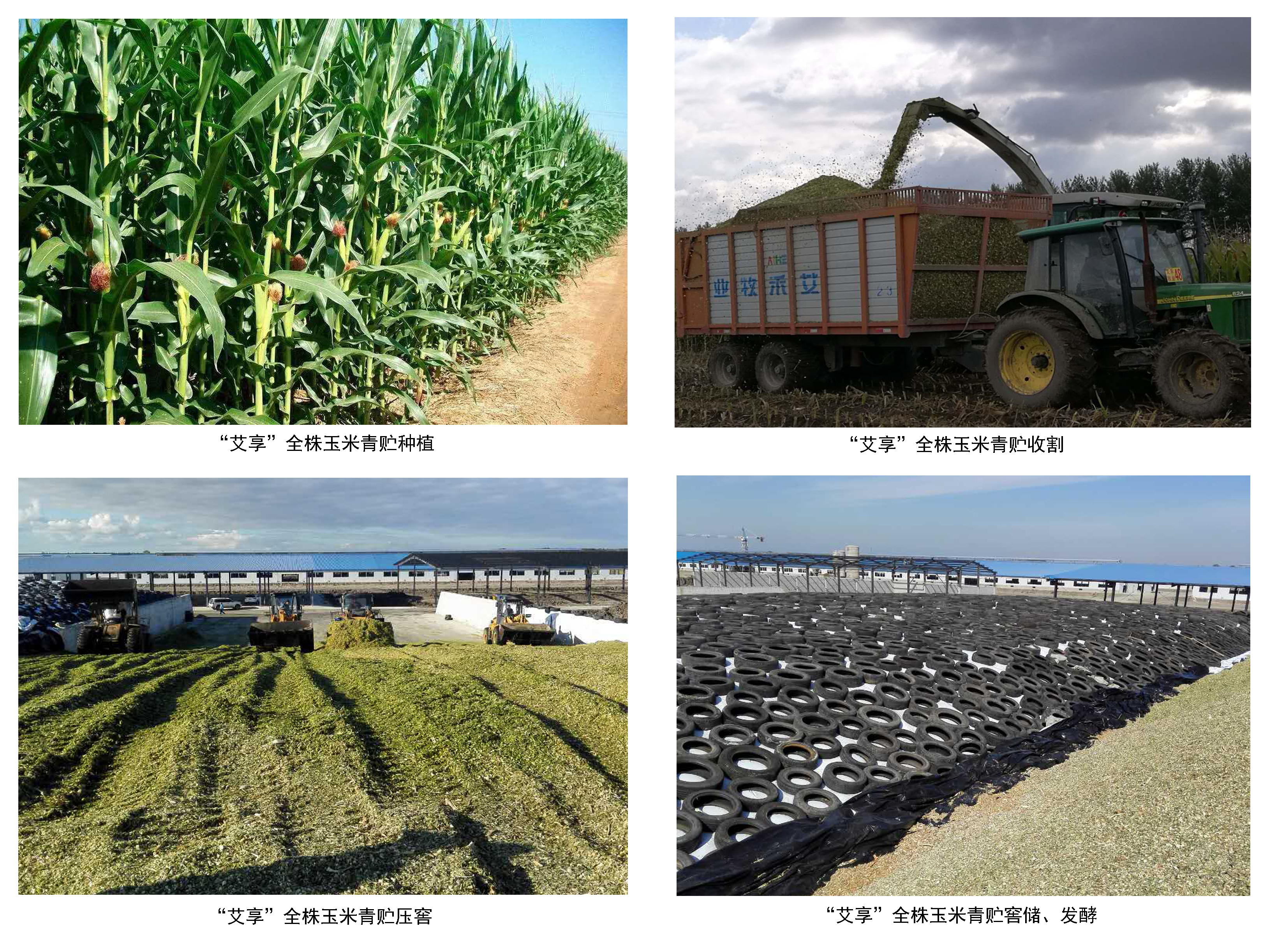 5a4f44f274fd9.jpg 5a4f44f274fd9.jpg