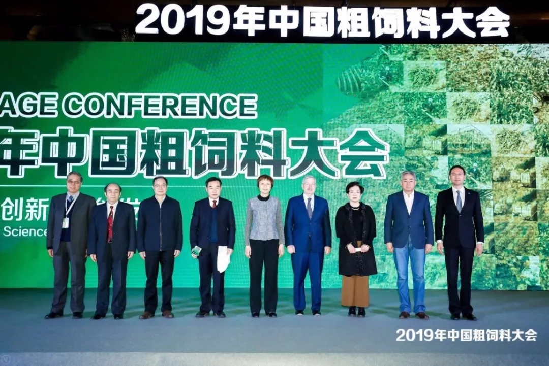 21313.webp.jpg 21313.webp.jpg