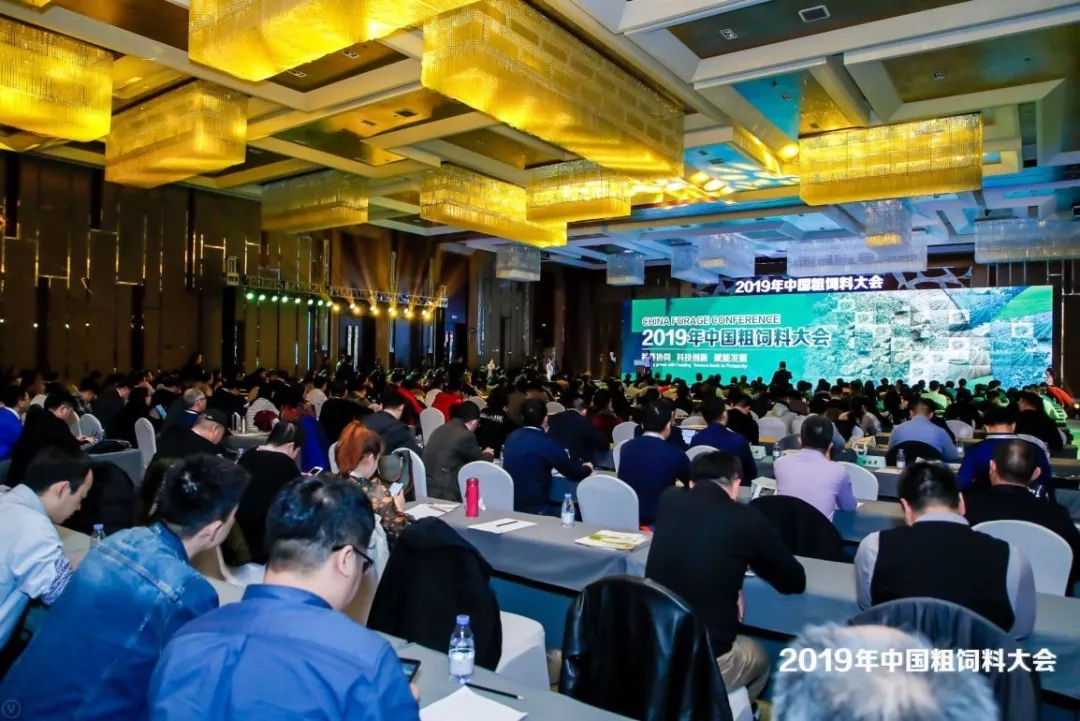 640.webp (2).jpg 640.webp (2).jpg