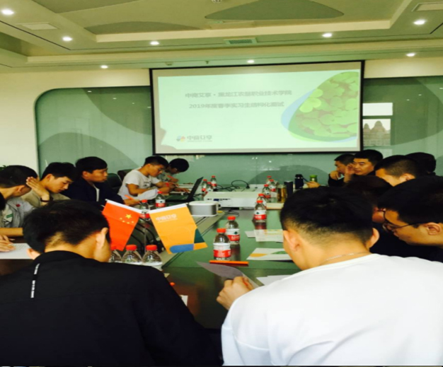 12313213123.jpg 12313213123.jpg