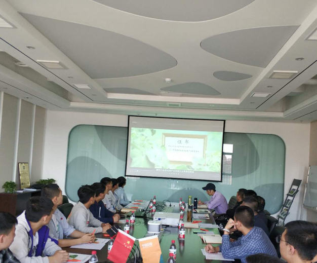 1231321321323132132.jpg 1231321321323132132.jpg