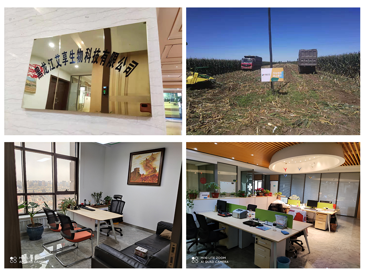 東北區(qū)簡介圖片-改.jpg 東北區(qū)簡介圖片-改.jpg